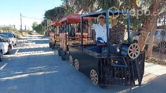 Arriendo tren de paseo navideño o evento empresa