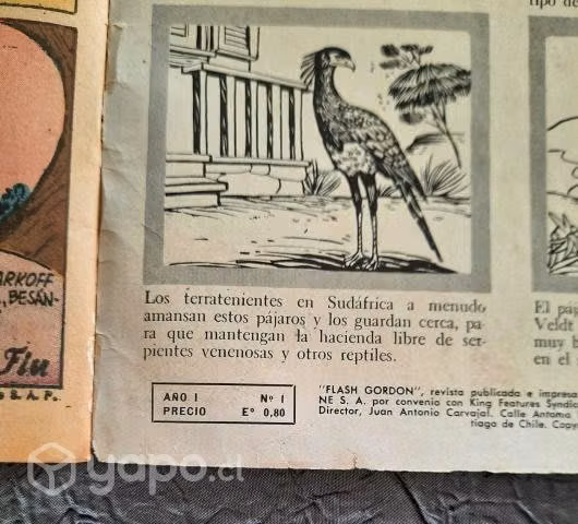 Comic Flash Gordon N°1
