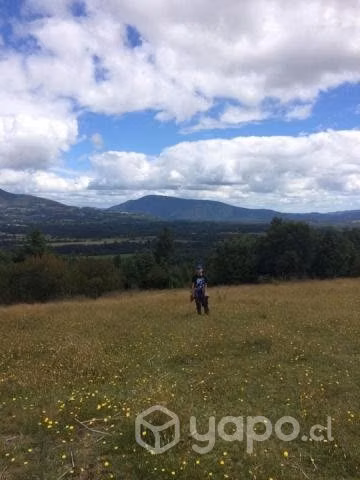 Campo en venta Panguipulli