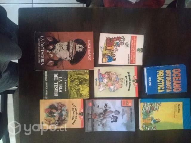 Lote de libros y cuentos