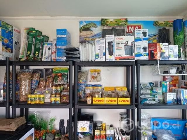 Acuario y accesorios
