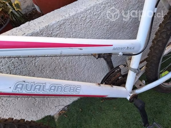 Bicicleta
