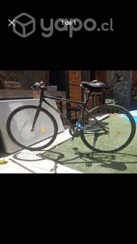 Bicicleta freno torpedo