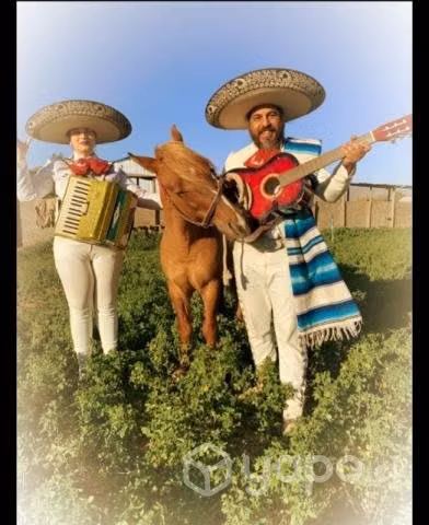 Charros mariachi serenatas