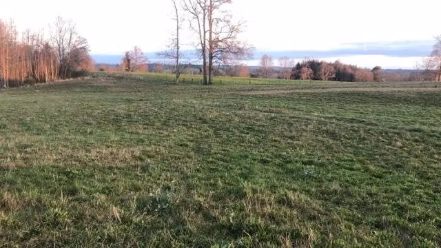 Terreno 5000 mts2