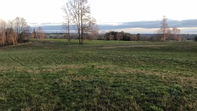 Terreno 5000 mts2
