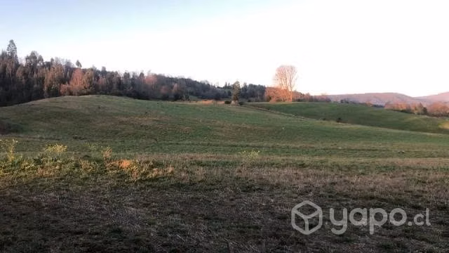 Terreno 5000 mts2
