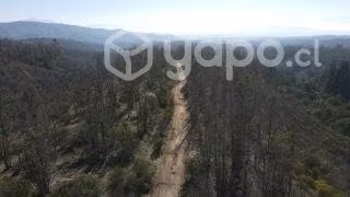 Parcelas En Limache de 5000m2 - Imagen 3