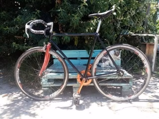 Bicicleta pistera