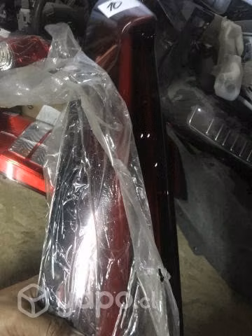 Mg3 2020