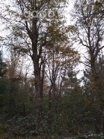 Hermoso terreno.