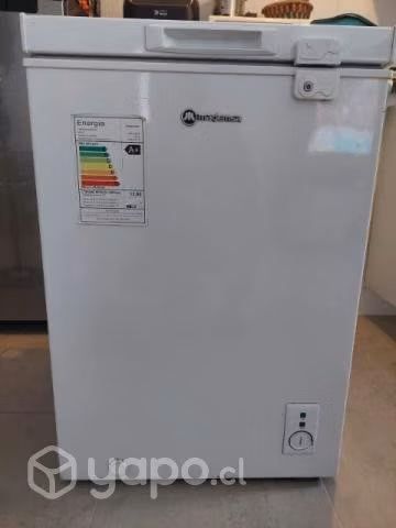 Congeladora 100 Lt
