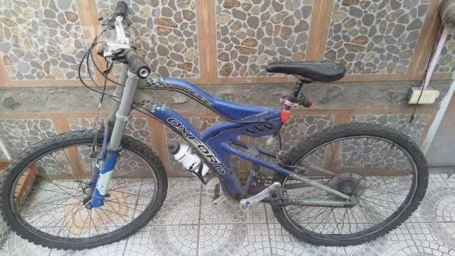Bicicleta