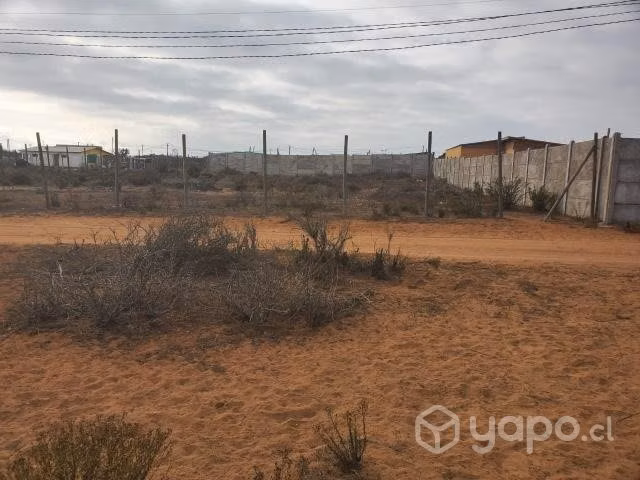 Terreno en Panul, Coquimbo - Imagen 5