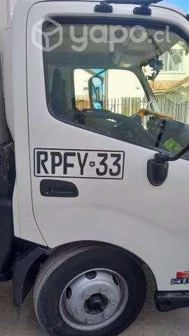 Pintura Patentes en puertas y techos Camiones Norm