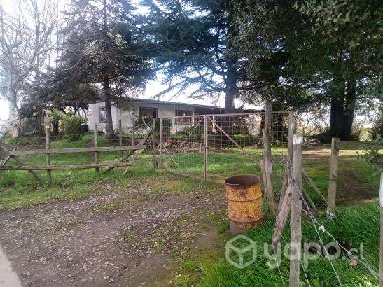 Casa de 180 M2 con 1916 M2 de terreno. - Imagen 5