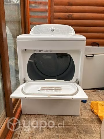 Secadora industrial de 17kg