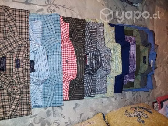 25 camisas Premium de hombre