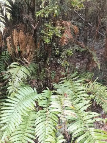Sitio en medio de la naturaleza