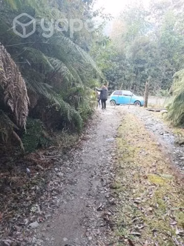 Sitio en medio de la naturaleza