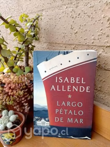 Libros y zapatos de niños