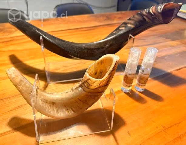 Pack Shofar Kudu 25 +Carnero 14 + Atril+ liquid