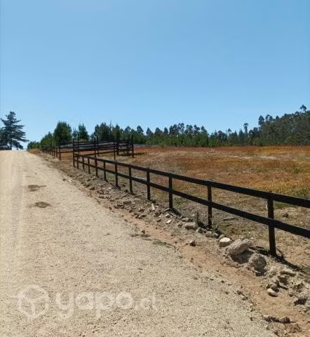 Venta Terreno en Pichilemu - Imagen 3