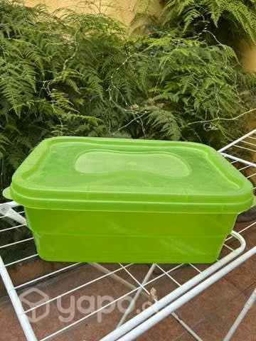 Caja plástica organizadora