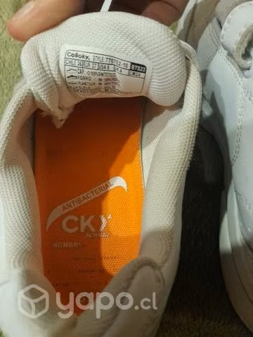 Zapatillas colloky 36