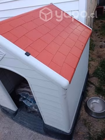 casa de perro grande