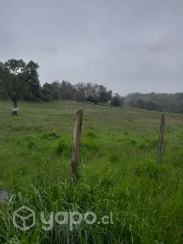 Parcela de 2 hectareas a orilla de carretera