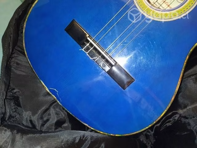 Guitarra Palmer - Imagen 2