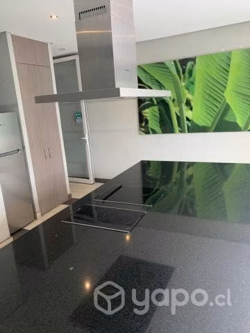 Recién remodelado 1D 1B - Imagen 12