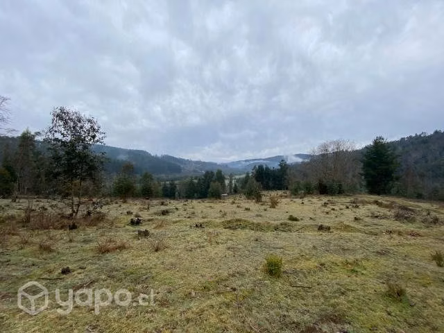 Hermoso campo chileno en loncoche