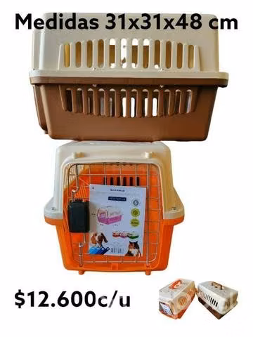 Transporte de perro o gato