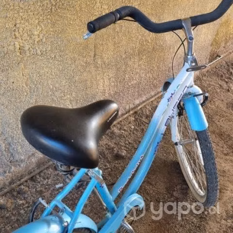Bicicleta de paseo