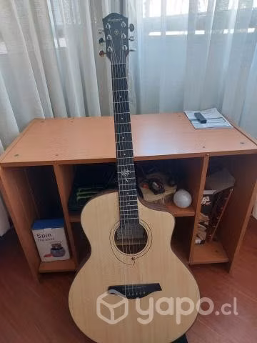 Guitarra palmer