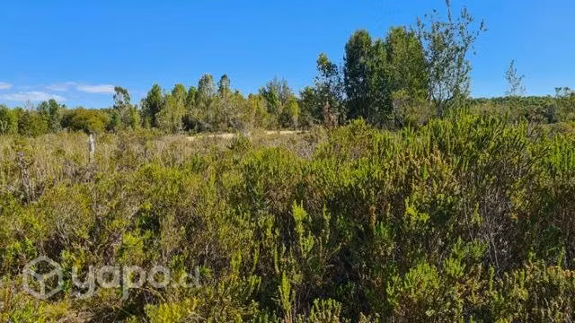 Parcela en Ancud Venta - Imagen 2