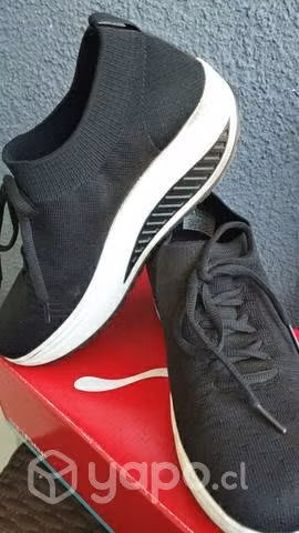 Zapatillas azaleia