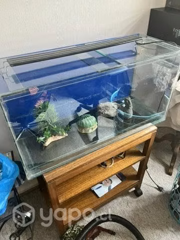 Acuario con mesa y accesorios