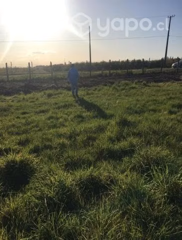 Terreno Privilegiado +5.000m2 - Chacayal Sur