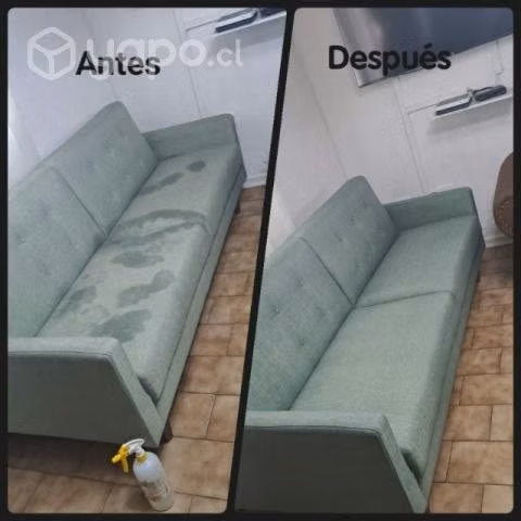 Limpieza de tapices, alfombras y colchones