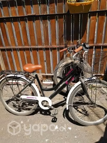 Bicicleta de paseo
