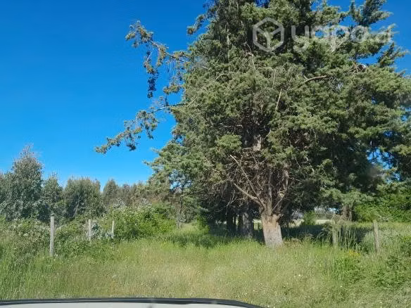campo de 8 hectareas