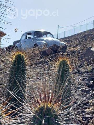 Parcela de 5000m2 con casa en cajón del romero. - Imagen 3