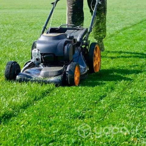 Mantencion de jardines y áreas verdes