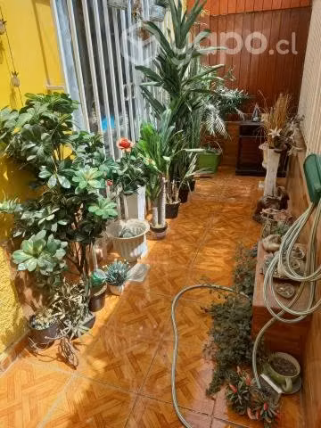 Vendo casa ampliada - Imagen 3