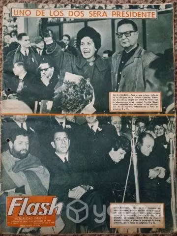 Revista Flash