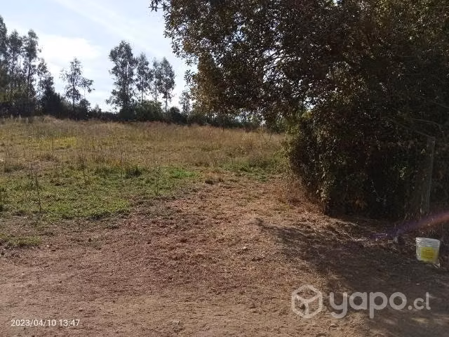 Parcela en bajo perquin talca - Imagen 5