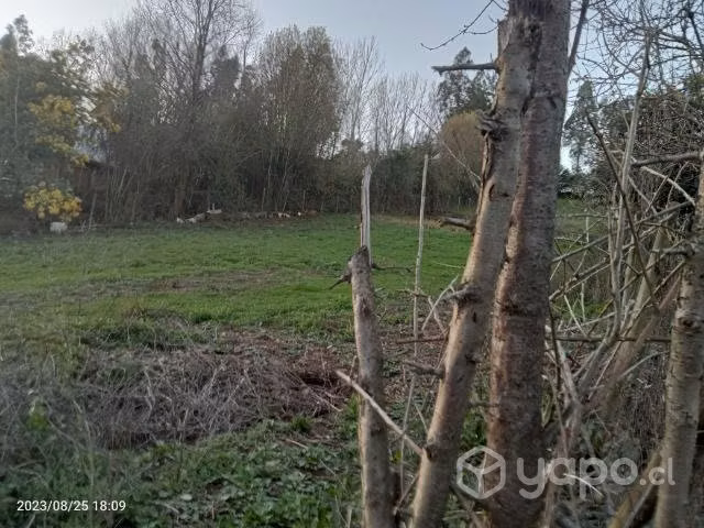 Parcela en bajo perquin talca - Imagen 18